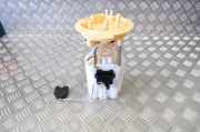 Kraftstoffpumpe VW Tiguan II (AD) 5QA919050C