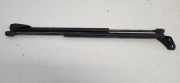 Heckklappe Gasdruckfeder links TOYOTA COROLLA Verso (ZER_, ZZE12_, R1_) 2.2 D-4D (AUR10_) 689600F011