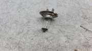 Xenon-Lampe BMW 3 Cabrio (E46) 318 Ci