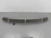Gitter MERCEDES-BENZ S (W220) S 320 CDI (220.025, 220.125) 2208800205