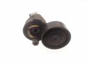 Zahnriemenspanner RENAULT CLIO III (BR0/1, CR0/1) 1.5 dCi (C/BR0G, C/BR1G) 8200608550