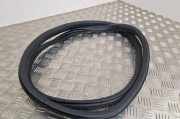 Türgummi links hinten Renault Clio III (BR0/1, CR0/1)