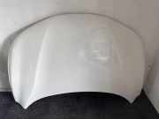 Motorhaube NISSAN QASHQAI II (J11, J11_) 1.6 dCi QAB