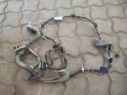 Türverkabelung hinten links RENAULT LAGUNA Coupe (DT0/1) 2.0 dCi 241264112R