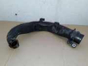 Luftansaugrohr DACIA DOKKER 1.5 dCi 062051