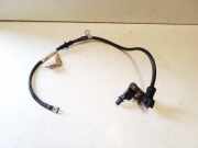 Massekabel Fiat Tipo Schrägheck (356, 357) 51962916