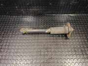 Stoßdämpfer rechts hinten Nissan Murano II (Z51) 562101AN0A