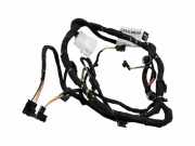 SONSTIGE KABELBÄUME MERCEDES-BENZ S (W222, V222, X222) S 500 (222.082, 222.182) A2224407605