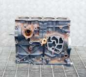 Motorblock AUDI A4 (8EC, B7) 1.9 TDI 038100104PX