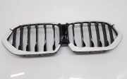 Vorderer oberer Gitter BMW X6(G06) (G06, F96) xDrive 30 d 7481387