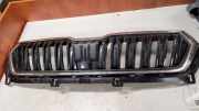 Vorderer oberer Gitter SKODA KAROQ (NU7) 1.0 TSI 57A853653G