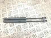 Gasfeder für Motorhaube BMW 7er (F01, F02, F03, F04) 7185032
