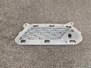 Gitter vorne unten LAND ROVER RANGE ROVER EVOQUE Cabrio (L538) 2.0 D 4x4 GJ3215A298C