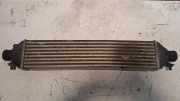 Ladeluftkühler OPEL COMBO Furgon/Estate (X12) 1.3 CDTI 866455500