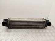 Ladeluftkühler BMW 5 (F10) 520 d R7368003