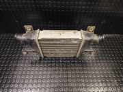 Ladeluftkühler Citroen C4 Aircross () 1530A093