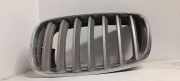Vorderer oberer Gitter BMW X5 (E70) xDrive 30 d 51317157687