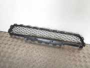 Gitter Grill vorne links LAND ROVER DISCOVERY V (L462) 2.0 D 4x4 TW5500450136031