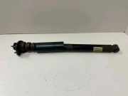 Stoßdämpfer hinten links BMW X3 (E83) xDrive 30 d 105413
