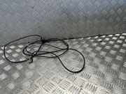 Antenne Dach Skoda Octavia III (5E)
