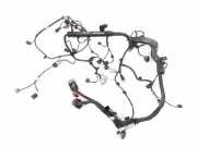 Motor Kabelbaum HYUNDAI SANTA FÉ III (DM) 2.2 CRDi 914002W021