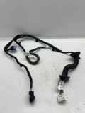 Türverkabelung hinten links NISSAN QASHQAI II (J11, J11_) 1.2 DIG-T 24127HV00A