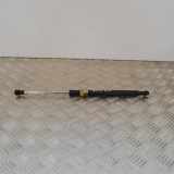 Heckklappe Gasdruckfeder rechts TOYOTA VERSO S (_P12_) 1.33 (NSP120_) n/a