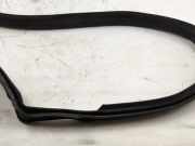 Türgummi rechts vorne BMW X5 (E53)