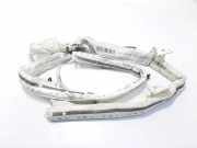 SRS Modul Dach links AUDI A6 Avant (4G5, C7, 4GD) 3.0 TDI quattro 4G9880741B