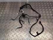 Kabel Tür vorne rechts NISSAN QASHQAI / QASHQAI +2 I (J10, JJ10) 2.0 dCi 4WD 24125JD06C