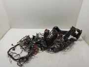 Kabelbaum Mercedes-Benz CLS (C218) A2125401634