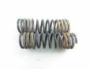 Schraubenfeder hinten links