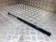 Heckklappe Gasdruckfeder rechts MERCEDES-BENZ E (W212) E 250 CDI / BlueTEC (212.003, 212.004) A2048800029