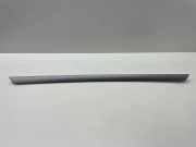 Türpolsterverkleidung hinten links VW JETTA III (1K2) 1.9 TDI 1K4867449