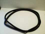 Türgummi links vorne Lexus RX 3 (L1)