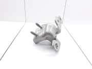 Türscharnier hinten links Renault Zoe (BFM) 11716R