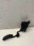 Gaspedal AUDI A6 Allroad (4FH, C6) 3.0 TDI quattro 6PV00898402