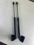 Heckklappe Gasdruckfeder links SEAT ALTEA XL (5P5, 5P8) 2.0 TDI 5P882755C