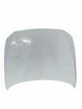 Motorhaube BMW 1 (F20) 120 d 41007290942