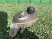 Ausgleichsbehälter RENAULT MASTER III Furgon (FV) 2.3 dCi 110 FWD 217100015R