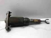 Gasdruckfeder Audi Allroad (4B) 4Z7616039