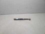 Stoßdämpfer links hinten Renault Megane III Schrägheck (BZ) 310058