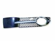 Gitter vorne unten VW PHAETON (3D_) 3.0 V6 TDI 4motion 3D0807681A