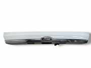 Kennzeichenbeleuchtung FORD FIESTA VI 1.6 TDCi 8A61A43404DE