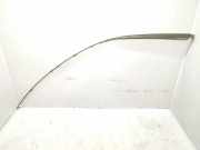 Dachleiste links MERCEDES-BENZ A (W169) A 180 CDI (169.007, 169.307) A1696900330