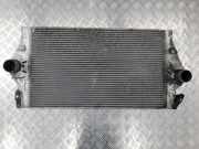 Ladeluftkühler RENAULT VEL SATIS (BJ0_) 3.0 dCi (BJ0J, BJ0N) 160101453F