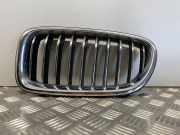 Vorderer oberer Gitter BMW 5 (F10) 530 d xDrive 7336477