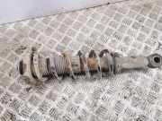 Stoßdämpfer rechts hinten Toyota Corolla Verso (R1)