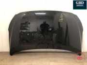 Motorhaube Hyundai Ioniq (AE) 66400G2000