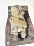 Differenzialgetriebe hinten VOLVO XC70 CROSS COUNTRY 2.5 T XC AWD P8653553